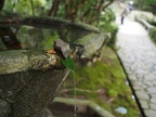03 Kinmo-in Temple