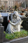 cemetery St Johanis rose