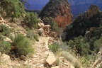 Grand Canyon 6