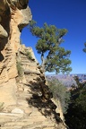 Grand Canyon 5