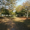Hikone 07