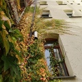 Herbst Hinterhof