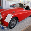 M Jaguar